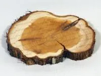 спил можжевельника шлифованный (1м.кв)